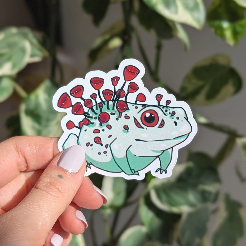 Cup Fungus Sticker