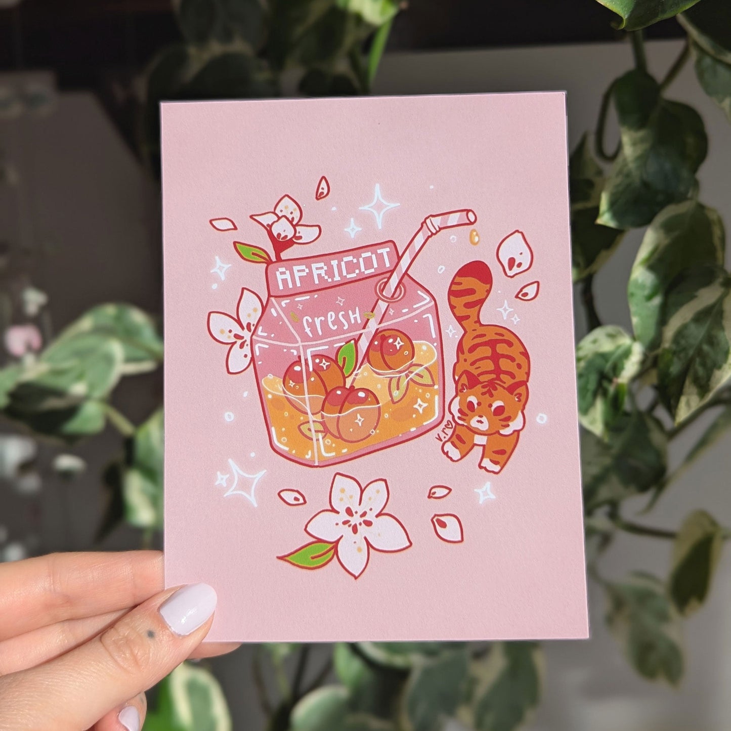 Fresh Apricot Print