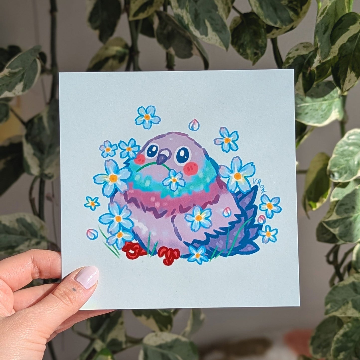 Pigeon Print