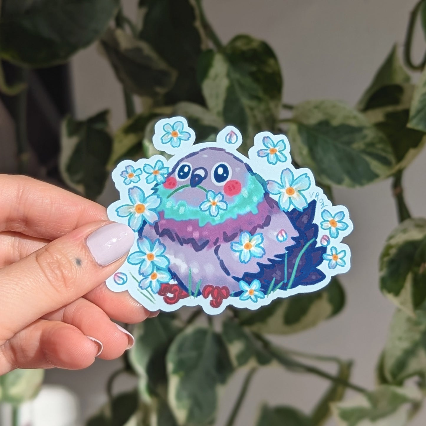 Pigeon Sticker